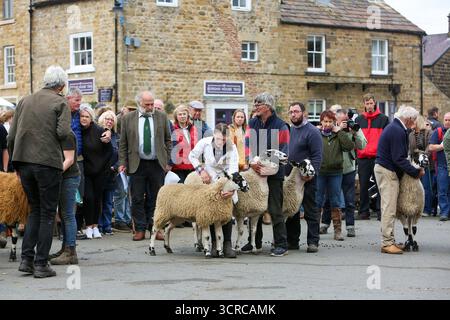 40. Masham Sheep Fair, Masham, North Yorkshire, England Stockfoto