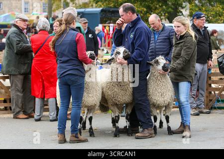 40. Masham Sheep Fair, Masham, North Yorkshire, England Stockfoto
