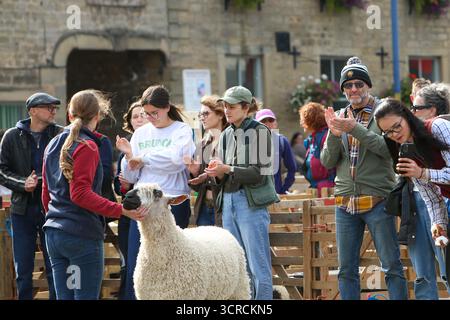 40. Masham Sheep Fair, Masham, North Yorkshire, England Stockfoto