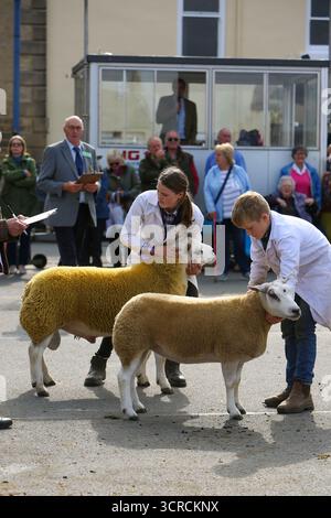 40. Masham Sheep Fair, Masham, North Yorkshire, England Stockfoto