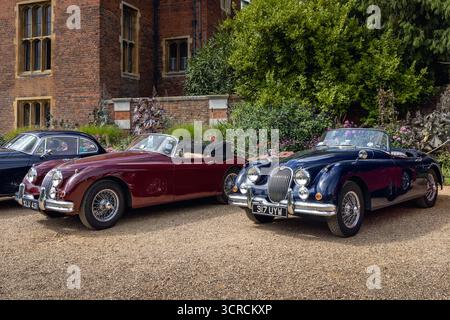 Ausstellung klassischer Jaguar XK-Fahrzeuge, Concours of Elegance 2025, Hampton Court Palace, London, Großbritannien Stockfoto