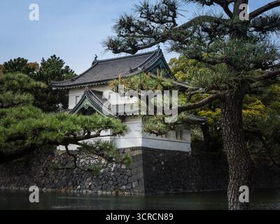 Tokio, Japan - 8. April 2025: OTE-Mon Gate (Tor zu den Ostgärten), eingerahmt von Kiefernästen, im Kaiserpalastkomplex. Stockfoto