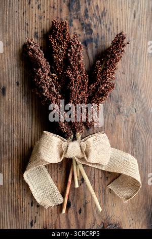 Getrocknete Black Amber Sweet Cane Sorghum Samen und Stiele, die mit Sackleinen-Band auf dem Bauernhof-Tisch gebunden sind. Stockfoto