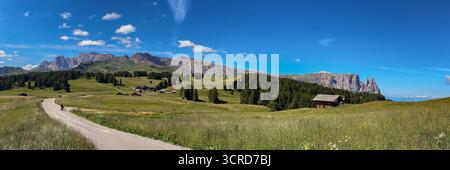Panoramablick mit Rosengarten und Schlern auf der Seiser Alm in den Dolomiten, Südtirol, Italien. Stockfoto