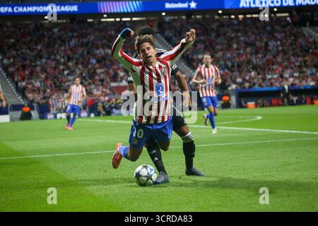Madrid, Spanien, 30. September 2025: Atletis Giuliano Simeone (20) wird während des Spiels der UEFA Champions League 2025-26 zwischen Atleti und Frankfurt am 30. September 2025 im Estadio Metropolitano in Madrid von einem Gegner gestoßen. Quelle: Alberto Brevers / Alamy Live News. Stockfoto
