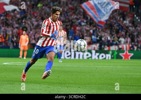 Madrid, Spanien. 30. September 2025. Giuliano Simeone von Atletico de Madrid in Aktion während der UEFA Champions League zwischen Madrid und Eintracht Frankfurt am 30. September 2025 im Estadio Metropolitano in Madrid (Foto: Oscar Gonzalez/SIPA USA) Credit: SIPA USA/Alamy Live News Stockfoto