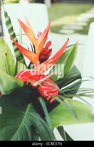 Blick auf einen tropischen Pflanzenstrauß. Stockfoto