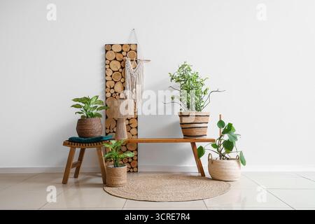 Holzbank, Lampe und Korbgefäße mit Zimmerpflanzen im Inneren des Wohnzimmers Stockfoto