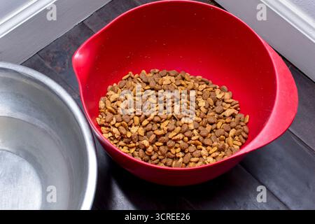 Blick auf eine Schüssel mit Trockenfutter auf dem Boden. Stockfoto
