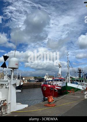 Farbenfrohe Fischerboote legten an einem bewölkten Tag im Hafen von Killybegs, County Donegal, Irland an. Stockfoto