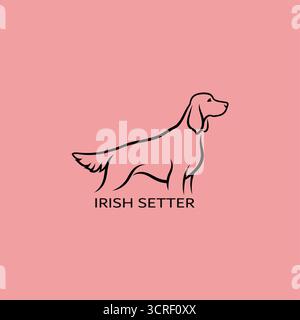Diese elegante Strichgrafik-Illustration zeigt das Profil eines irischen Setters vor einem weichen rosa Hintergrund. Stock Vektor