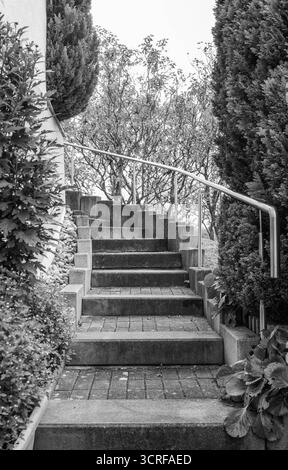 Dapfen Treppe im Aussenbereich eine Steintreppe mit Edelstahlgelaender fuehrt im Aussenbereich durch Buesche und Straeucher nach oben. Die Aufnahme entstand in Schwarzweiss. *** Dapfener Treppe im Außenbereich Eine Steintreppe mit Edelstahlgeländern führt durch Büsche und Sträucher im Außenbereich das Foto wurde in schwarz-weiß aufgenommen Copyright: XEibner-Pressefotox EP EER Stockfoto