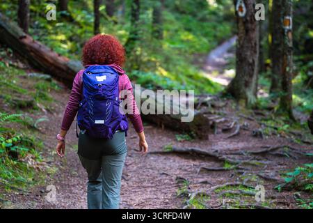 Wanderer mit lockigen roten Haaren und Rucksack, die auf einem Waldweg im Apuseni-Gebirge, Rumänien, von Grün und Baumwurzeln umgeben, spazieren Stockfoto