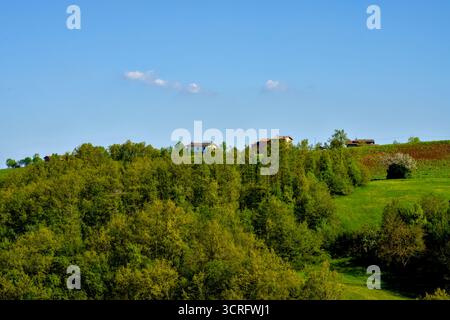 Ein wunderschön üppig grüner Hügel mit Bäumen und einem Haus im Hintergrund Stockfoto