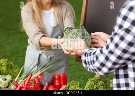Mann, der frisches Gemüse vom Stand auf dem Bauernmarkt auswählt, Nahaufnahme Stockfoto