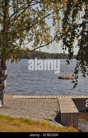 Ein ruhiger und schöner Blick auf den See mit einem hölzernen Dock umgeben von schönen Birken Stockfoto