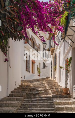 Blick auf die typischen weißen Häuser in einer engen Gasse mit blühenden Bougainvillea in der gepflegten Altstadt des spanischen Dorfes altea Stockfoto