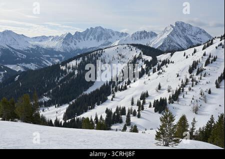 Alpenlandschaft mit schneebedeckten Bergen und Kiefern. Schneebedeckte steirische Berge am Horizont, immergrüne Wälder bedecken Hänge. Stockfoto