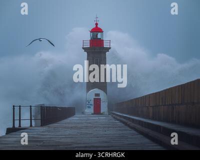Die mächtige Ocean Wave stürzt während des Sturms gegen den Leuchtturm – dramatische Meereslandschaft mit Red Beacon und Flying Seagull Stockfoto