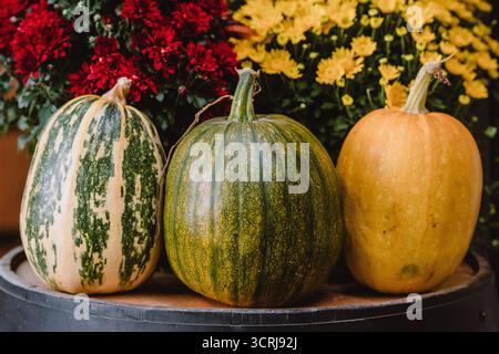 Eine bunte Auswahl von drei Kürbissen und Kürbissen in verschiedenen Formen, Größen und Farben mit roten und gelben Chrysanthemen auf einem Holzfass Stockfoto