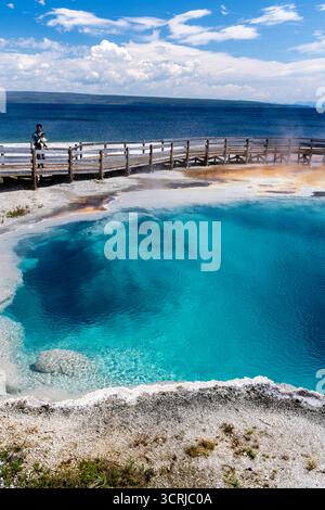 Lebhafte heiße Quellen im West Thumb Geyser Basin, Yellowstone National Park, Wyoming, USA an einem schönen Sommertag. Stockfoto