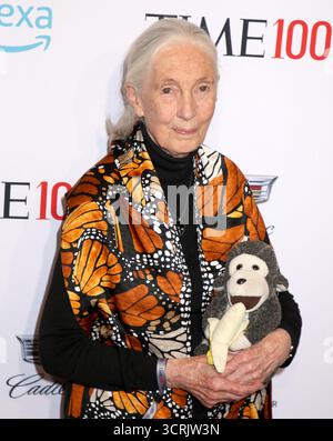 New York City, USA. Oktober 2025. Jane Goodall, berühmte Primatologin und Naturschützerin, starb im Alter von 91 Jahren am 1. Oktober 2025 an natürlichen Ursachen während einer Vortragsreise durch die USA in Kalifornien.------------------------------------------------------------------------------- Jane Goodall nahm an der TIME 100 Gala 2019 teil, die am 23. April 2019 im Jazz im Lincoln Center in New York City stattfand © Steven Bergman/AFF-USA.COM Credit: AFF/Alamy Live News Stockfoto