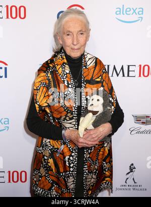 New York City, USA. Oktober 2025. Jane Goodall, berühmte Primatologin und Naturschützerin, starb im Alter von 91 Jahren am 1. Oktober 2025 an natürlichen Ursachen während einer Vortragsreise durch die USA in Kalifornien.------------------------------------------------------------------------------- Jane Goodall nahm an der TIME 100 Gala 2019 teil, die am 23. April 2019 im Jazz im Lincoln Center in New York City stattfand © Steven Bergman/AFF-USA.COM Credit: AFF/Alamy Live News Stockfoto