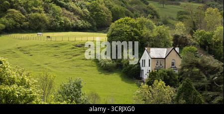 Ein bezauberndes Landhaus aus weißem Stein befindet sich zwischen sanften grünen Weiden und alten Bäumen. In der Nähe grasen Pferde auf einem umzäunten Feld Stockfoto
