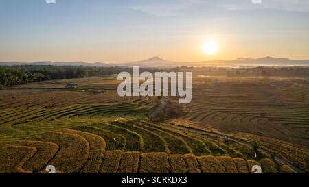 Ein atemberaubender Blick auf den Sonnenaufgang über Reisterrassen, goldene Feldfrüchte und gewundene Pfade mit Bergen in der Ferne. Stockfoto