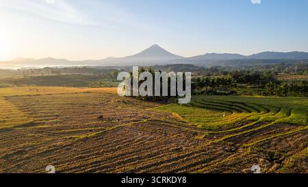 Ein atemberaubender Blick auf den Sonnenaufgang über Reisterrassen, goldene Feldfrüchte und gewundene Pfade mit Bergen in der Ferne. Stockfoto