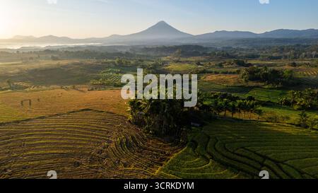 Ein atemberaubender Blick auf den Sonnenaufgang über Reisterrassen, goldene Feldfrüchte und gewundene Pfade mit Bergen in der Ferne. Stockfoto
