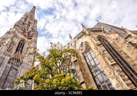 Außenansicht des Stephansdoms mit gotischem Mauerwerk und Dachziegeln in Wien, Österreich. Stockfoto