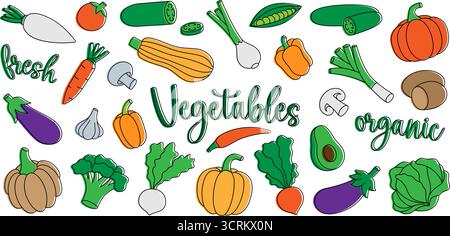 Gemüseset. Frisches rohes Gemüse. Design von Bio-Lebensmitteln für den Lebensmittelmarkt, E-Commerce, Produktförderung. Gesunde Ernährung. Vektorabbildung. Stock Vektor