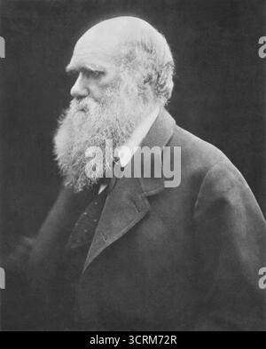 Julia Margaret Cameron – Charles Darwin – um 1868 Stockfoto