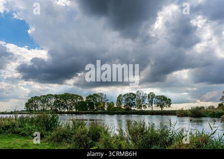 Drimmelen. Der Gat van den Ham östlich von Lage Zwaluwe und westlich des Dorfes Drimmelen ist ein sumpfiges Bachgebiet, das aus der St. Elisabeth’s Flut von 1421 stammt. Heute ist es ein Naturschutzgebiet, das durch das Brabantse-Delta erweitert wurde, um schließlich einen ökologischen Korridor zwischen der Amer (mit dem Nationalpark Biesbosch auf der anderen Seite) und den Naturschutzgebieten bis nach Oosterhout zu schaffen. Mehrere Angelplattformen befinden sich entlang des Wasserrandes. ANP / Hollandse Hoogte / Eugene Winthagen niederlande aus - belgien aus Stockfoto