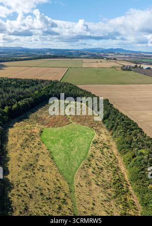 Aus der Vogelperspektive auf ein pulsierendes grünes Feld, umgeben von einem dichten Wald und goldenen landwirtschaftlichen Feldern unter einem riesigen blauen Himmel, Tranent, Schottland, Großbritannien. Stockfoto