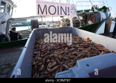 02. Oktober 2025, Schleswig-Holstein, Büsum: Vor einem Krabbenschneider steht im Fischerhafen Büsum eine Kiste fangfrischer Nordseekrebse. Bundeslandwirtschaftsminister Rainer wurde über die Krabben- und Küstenfischerei und die "Gemeinsame Aufgabe zur Verbesserung der Agrarstrukturen und des Küstenschutzes" (GAK) informiert. Foto: Marcus Brandt/dpa Stockfoto