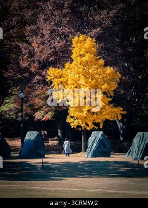 Nächtlicher Blick vom Namsan Tower über Myeongdong, Seoul, wo helle Stadtlichter aus dem geschäftigen Zentrum unter einem klaren, leuchtenden Himmel leuchten. Stockfoto