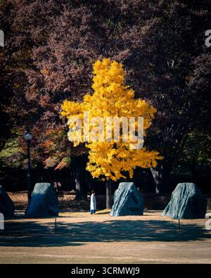 Nächtlicher Blick vom Namsan Tower über Myeongdong, Seoul, wo helle Stadtlichter aus dem geschäftigen Zentrum unter einem klaren, leuchtenden Himmel leuchten. Stockfoto