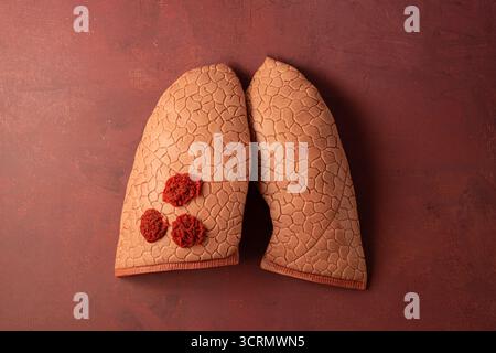 Welttuberkulosetag. Lunge mit Blutzellen auf rotem Hintergrund, Draufsicht. Stockfoto