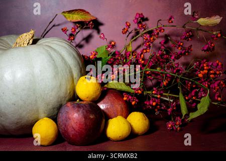 Stillleben im Herbst mit Kürbis, Äpfeln und Beeren auf dunklem Hintergrund. Selektiver Fokus. Stockfoto