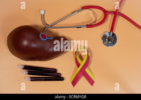 Menschliches Lebermodell, rotes und gelbes Band, Stethoskop und Bluttests. Der Welttag der Hepatitis. Stockfoto