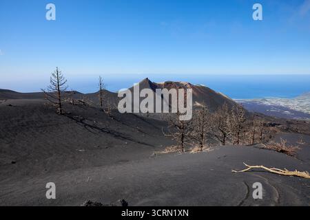 La Palma Tajogaite-Vulkan Tajogaite-Vulkan auf La Palma. Der Tajogaite-Vulkan entstand durch einen schnellen dreimonatigen Vulkanausbruch von September bis Dezember 2021. Durch den Vulkanausbruch wurde eine große Zahl von Haeusern in Doerfern und Siedlungen der Gemeinden El Paso, Los Llanos de Aridane und Tazacorte zerstoert und weite Teile landwirtschaftlich genutzter Flaeche mit Lava und Asche bedeckt. Mittlerweile darf in einem Teil der Gegend um den Vulkan in Begleitung von Orts- und fachkundiger Leitung wieder gewandert werden, wenn die Gaskonzentration in der Gegend gering ist. Im Bild: Verb Stockfoto