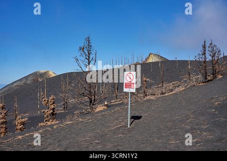 La Palma Tajogaite-Vulkan Tajogaite-Vulkan auf La Palma. Der Tajogaite-Vulkan entstand durch einen schnellen dreimonatigen Vulkanausbruch von September bis Dezember 2021. Durch den Vulkanausbruch wurde eine große Zahl von Haeusern in Doerfern und Siedlungen der Gemeinden El Paso, Los Llanos de Aridane und Tazacorte zerstoert und weite Teile landwirtschaftlich genutzter Flaeche mit Lava und Asche bedeckt. Mittlerweile darf in einem Teil der Gegend um den Vulkan in Begleitung von Orts- und fachkundiger Leitung wieder gewandert werden, wenn die Gaskonzentration in der Gegend gering ist. Im Bild: Hinw Stockfoto