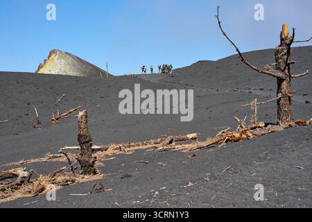 La Palma Tajogaite-Vulkan Tajogaite-Vulkan auf La Palma. Der Tajogaite-Vulkan entstand durch einen schnellen dreimonatigen Vulkanausbruch von September bis Dezember 2021. Durch den Vulkanausbruch wurde eine große Zahl von Haeusern in Doerfern und Siedlungen der Gemeinden El Paso, Los Llanos de Aridane und Tazacorte zerstoert und weite Teile landwirtschaftlich genutzter Flaeche mit Lava und Asche bedeckt. Mittlerweile darf in einem Teil der Gegend um den Vulkan in Begleitung von Orts- und fachkundiger Leitung wieder gewandert werden, wenn die Gaskonzentration in der Gegend gering ist. Im Bild: Verb Stockfoto