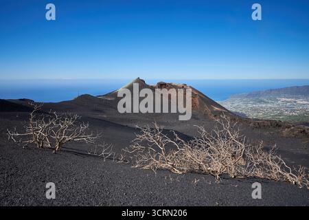 La Palma Tajogaite-Vulkan Tajogaite-Vulkan auf La Palma. Der Tajogaite-Vulkan entstand durch einen schnellen dreimonatigen Vulkanausbruch von September bis Dezember 2021. Durch den Vulkanausbruch wurde eine große Zahl von Haeusern in Doerfern und Siedlungen der Gemeinden El Paso, Los Llanos de Aridane und Tazacorte zerstoert und weite Teile landwirtschaftlich genutzter Flaeche mit Lava und Asche bedeckt. Mittlerweile darf in einem Teil der Gegend um den Vulkan in Begleitung von Orts- und fachkundiger Leitung wieder gewandert werden, wenn die Gaskonzentration in der Gegend gering ist. Im Bild: Verb Stockfoto