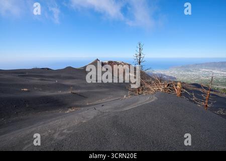 La Palma Tajogaite-Vulkan Tajogaite-Vulkan auf La Palma. Der Tajogaite-Vulkan entstand durch einen schnellen dreimonatigen Vulkanausbruch von September bis Dezember 2021. Durch den Vulkanausbruch wurde eine große Zahl von Haeusern in Doerfern und Siedlungen der Gemeinden El Paso, Los Llanos de Aridane und Tazacorte zerstoert und weite Teile landwirtschaftlich genutzter Flaeche mit Lava und Asche bedeckt. Mittlerweile darf in einem Teil der Gegend um den Vulkan in Begleitung von Orts- und fachkundiger Leitung wieder gewandert werden, wenn die Gaskonzentration in der Gegend gering ist. Im Bild: Verb Stockfoto