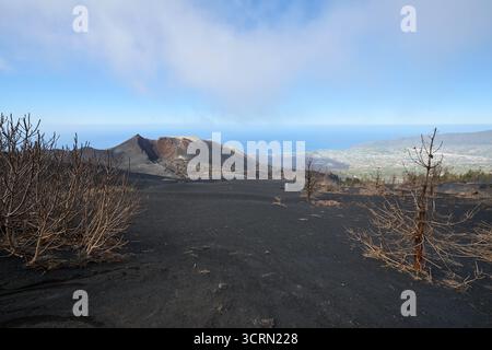 La Palma Tajogaite-Vulkan Tajogaite-Vulkan auf La Palma. Der Tajogaite-Vulkan entstand durch einen schnellen dreimonatigen Vulkanausbruch von September bis Dezember 2021. Durch den Vulkanausbruch wurde eine große Zahl von Haeusern in Doerfern und Siedlungen der Gemeinden El Paso, Los Llanos de Aridane und Tazacorte zerstoert und weite Teile landwirtschaftlich genutzter Flaeche mit Lava und Asche bedeckt. Mittlerweile darf in einem Teil der Gegend um den Vulkan in Begleitung von Orts- und fachkundiger Leitung wieder gewandert werden, wenn die Gaskonzentration in der Gegend gering ist. Im Bild: Verb Stockfoto