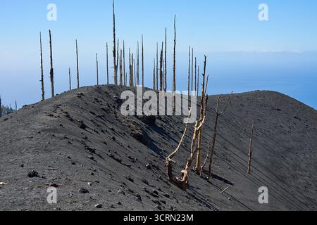 La Palma Tajogaite-Vulkan Tajogaite-Vulkan auf La Palma. Der Tajogaite-Vulkan entstand durch einen schnellen dreimonatigen Vulkanausbruch von September bis Dezember 2021. Durch den Vulkanausbruch wurde eine große Zahl von Haeusern in Doerfern und Siedlungen der Gemeinden El Paso, Los Llanos de Aridane und Tazacorte zerstoert und weite Teile landwirtschaftlich genutzter Flaeche mit Lava und Asche bedeckt. Mittlerweile darf in einem Teil der Gegend um den Vulkan in Begleitung von Orts- und fachkundiger Leitung wieder gewandert werden, wenn die Gaskonzentration in der Gegend gering ist. Im Bild: Verb Stockfoto