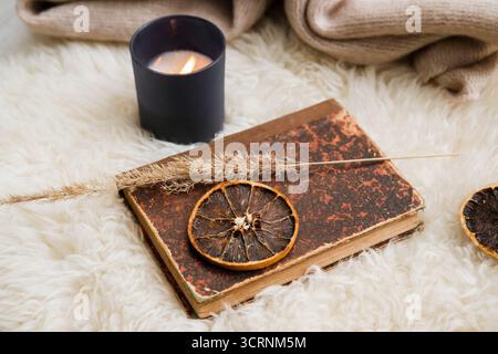 Ein Vintage-Papierbuch auf weichem Lammfell, mit trockenem Schilf, einer getrockneten Orangenscheibe und einer brennenden Aromakerze. Ein gemütliches Winter-Herbst-Set. Stockfoto